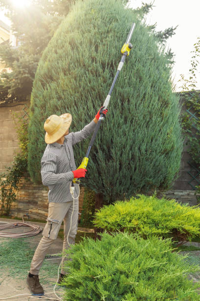 Best Lawn Grading and Leveling  in Bangs, TX